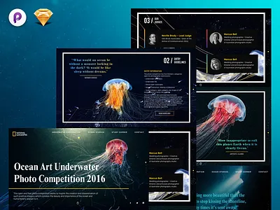 Landing page mockup • Freebie Sketch and Principle concept freebie geographic landing mockup national page sketch ui ux vibrant website