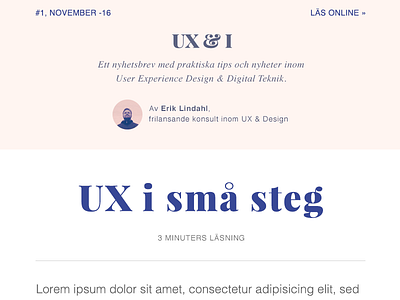 Newsletter Template email newsletter template