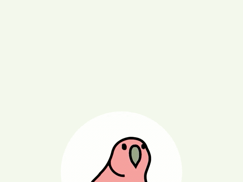 Confetti party confetti fissa parrot party principle source