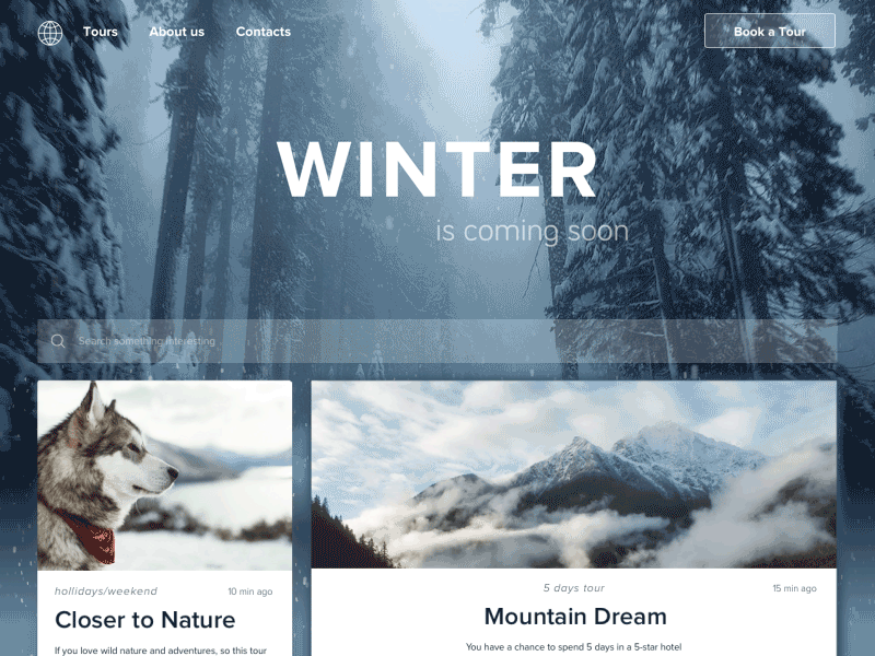 Winter Tours animation booking gif grid homepage masonry tour travel ui ukraine web winter