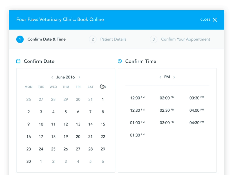 TopVet | Confirm Date appointment cells dates pet time ui vet web wizard