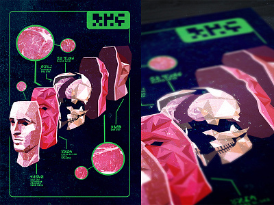 They're Made Out of Meat alien anatomy animation design diagram gif human illustration meat motion graphics skull space