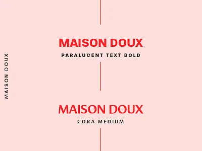 type study branding identity type type study typography