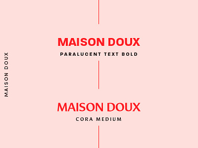 type study branding identity type type study typography