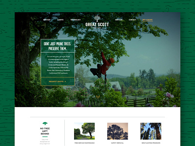 Great Scott Tree Care minmal rebrand vintage website
