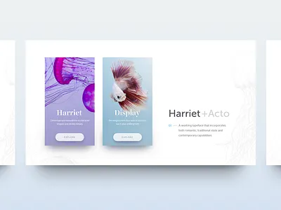 Serif Combos clean fonts layout minimal serif typo typography ui ux web