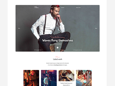 Olive - Portfolio Wordpress Theme ajax animations clean creative grid masonry peenapo photography portfolio theme white wordpress