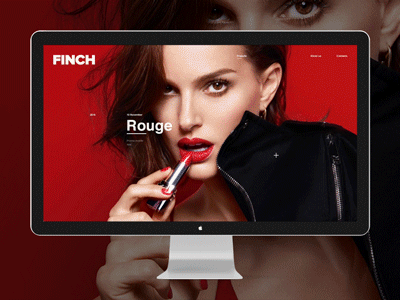 Finch animation fullscreen minimal motion principle promo ui uiux ux web website