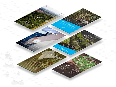 Jukko website background design illustration