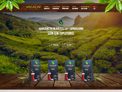 Vega Çay blacksea drink green leaf lipton nature tea vega wood çay