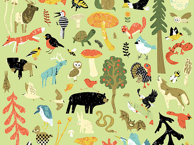 Wild Life animals bear birds child fun illustration playful trees