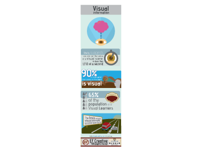 Visual Information - infographic by EF Creative on Dribbble