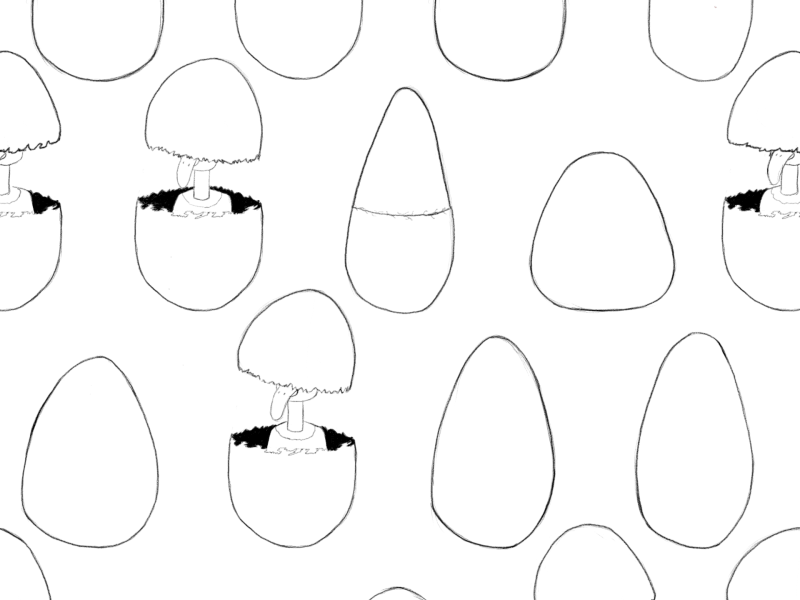 Anitober Day 09: Broken 2d animation anitober art black and white broken chicken egg inktober tvpaint
