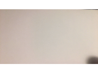 Puppy And Sunflower animation claymotion dog stopmotion sunflower