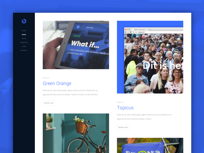 Example of Brandcube projects