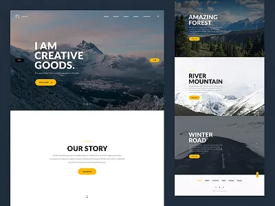 Folex — Photography Theme folex gallery personal photography portfolio product theme ui ux
