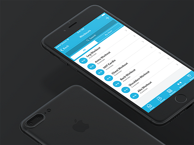 Workout List client exercise gym list personal trainer trainer workout