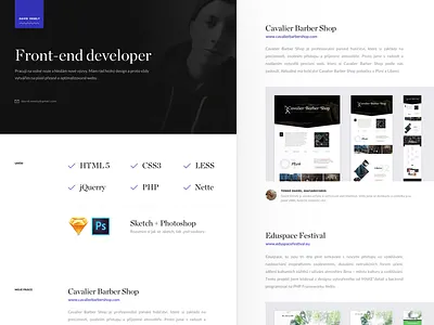 David Vesely portfolio css developer fe front end genius portfolio