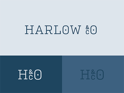 & Co, & Co, & Co, & Co blue brand identity mockup presentation serif slab
