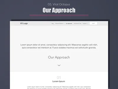 Viral Octopus - Our Approach best design designer expert india portfolio top ui user experience ux web wireframe