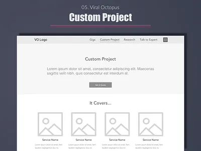 Viral Octopus - Custom Project best design designer expert india portfolio top ui user experience ux web wireframe