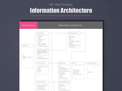 Viral Octopus - Information Architecture best design designer expert india portfolio top ui user experience ux web wireframe