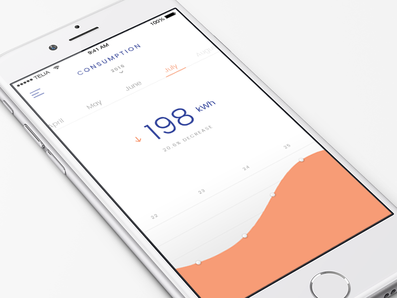 Example of Consumption details