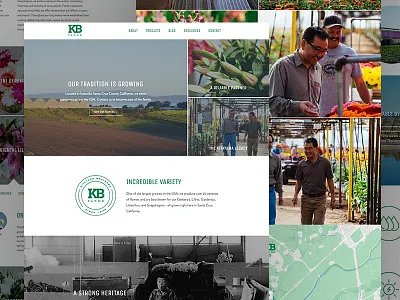 Kitayama Brothers Website branding flowers identity interface lifestyle photography ui ux website