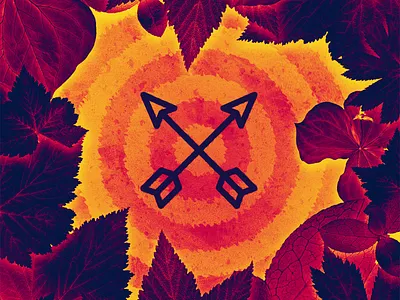 Sherwood archery arrows illustration leaves robin hood sherwood target