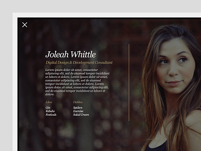 Type Agency 003 modular design ui design ux design web design website