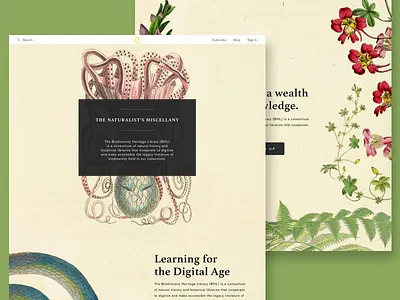 National Geographic Micro-Site education landing page micro site science web website