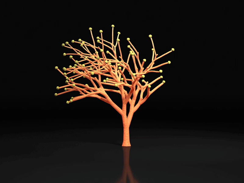 Coral Growth 3d coral growth videomapping