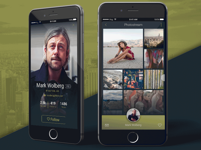 Flickr User Profile ReImagined - DailyUi 006 data profile ui ux