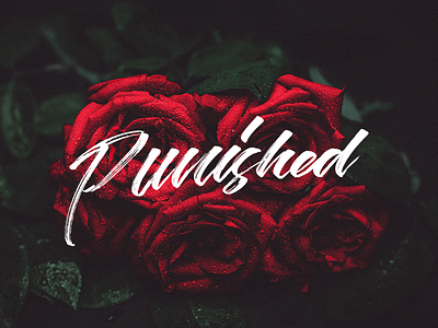 Punished brush brushtype calligraphy cursive handlettering handmadefont handmadetype lettering script type typo typography