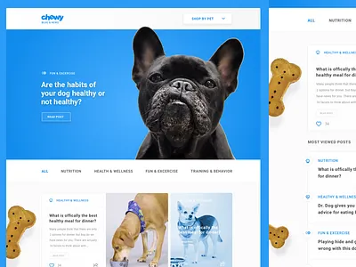 Pets Exploration animals blog cats clean dogs ecommerce pets ui web website