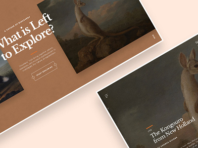Travellers' Tails Web Concept art concept design explore layout typography ui ux web website