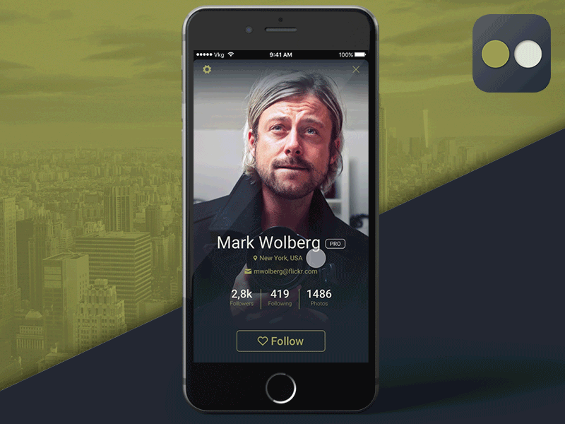 Flickr Settings ReImagined - DailyUi 007 data options preferences setetings switches ui ux