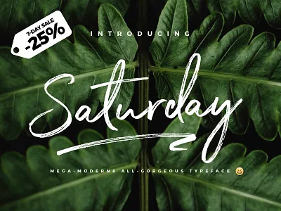 [7-Day Flash Sale] The Saturday Font craft creative font fonts hand handwriting handwritten inspiration logo original typeface