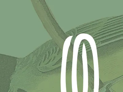 More Hooded Warbler Branding audubon bird branding hooded warbler kickstarter logo