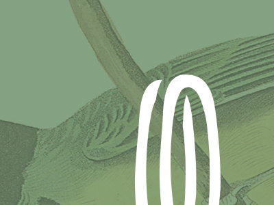 More Hooded Warbler Branding audubon bird branding hooded warbler kickstarter logo