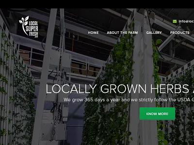 Local Super Fresh illustrator photoshop user interface design web design