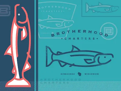 Brotherhood Charters_Concepting brand coho concept illustration lines logo salmon wisconsin