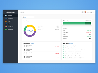 Finance Web App Concept budget clean dashboard data expense finance flat interface minimal money ui web app