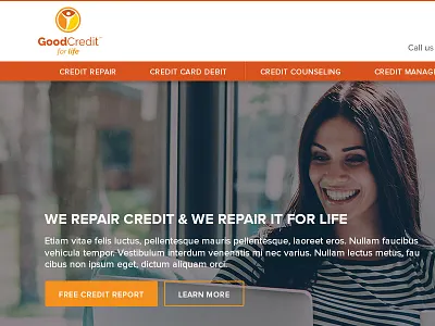 Good Credit For Life illustrator photoshop user interface design web design
