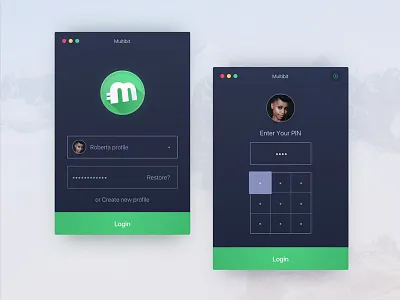 Multi Profile Bitcoin Desktop App Log In Screens application bitcoin dashboard login mac apps mac os signin ui ux user experience user interface wallet web app