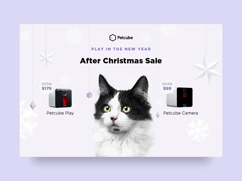 Petcube Christmas Landing Page animation camera cat christmas cute dog interaction landing petcube pets website