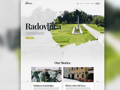 diStory website design development history html web design webshocker website