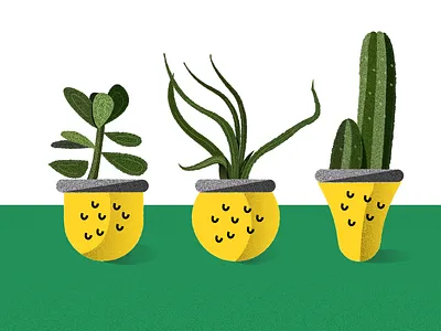 Succulent Plants illustration plant，succulent texture