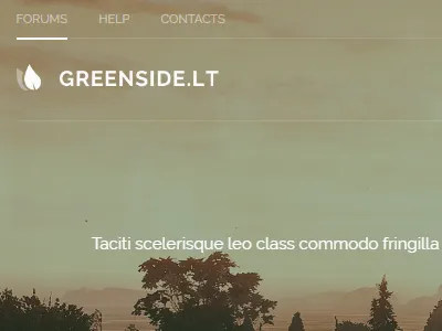 Custom Theme & Landing for a Client client custom theme themetree