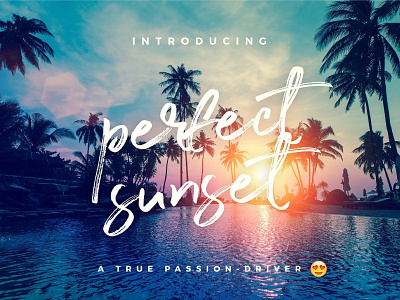 NEW FONT | 25% OFF QUICK-SALE - Perfect Sunset craft creative font fonts hand handwriting handwritten inspiration logo original typeface